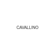 cavallino