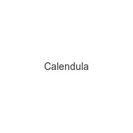 calendula
