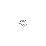 wild-eagle
