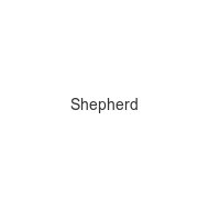 shepherd