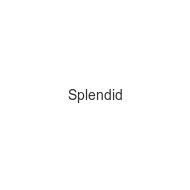splendid