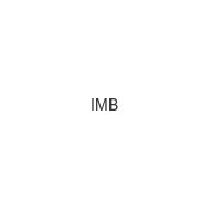 imb