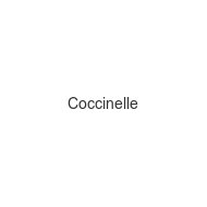 coccinelle