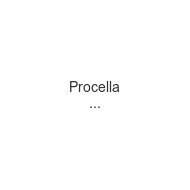 procella-vadens
