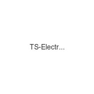ts-electronic