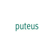 puteus