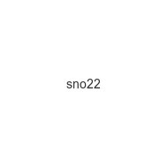 sno22