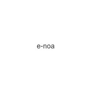 e-noa