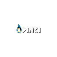 pingi