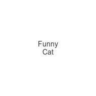 funny-cat