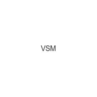 vsm