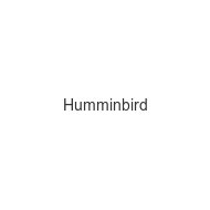 humminbird