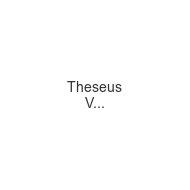 theseus-verlag-gmbh