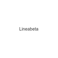 lineabeta-s-p-a