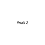 real3d