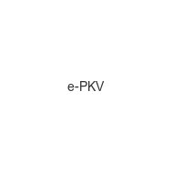 e-pkv