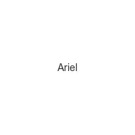 ariel