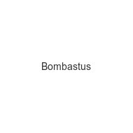 Bombastus bombastus