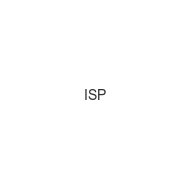 isp