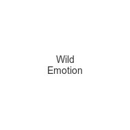 wild-emotion