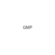 gmp