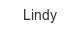 lindy