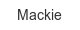 mackie