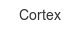 cortex