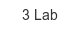3-lab