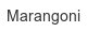 Marangoni marangoni