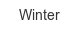 winter