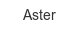 aster