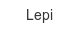 lepi