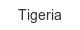 tigeria