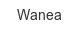 wanea