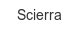 scierra