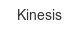 kinesis
