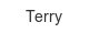 terry