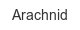 arachnid