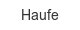 haufe