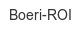 boeri-roi