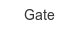gate