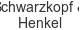 schwarzkopf-henkel