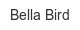 bella-bird