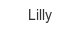 lilly