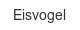 eisvogel