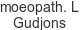 homoeopath-lab-gudjons