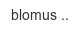 blomus