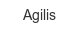 agilis