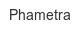 phametra